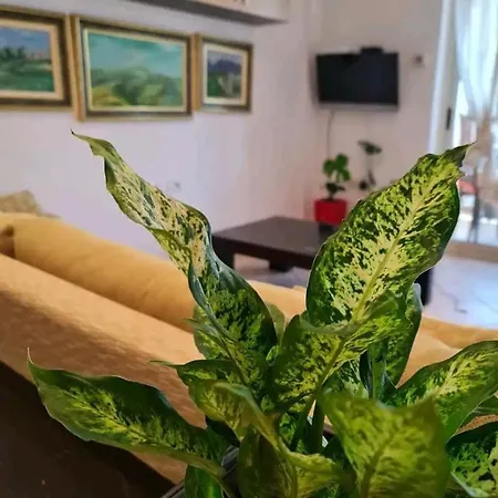 Cozy At Pazari I Ri * Tirana